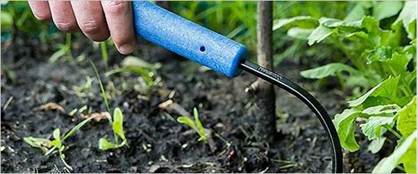 Best weeding tools for gardens