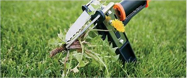 best tool for weed removal in large garden