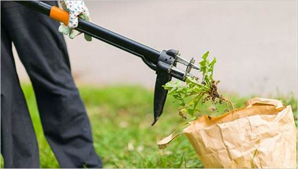 Best gardening tool for weeds