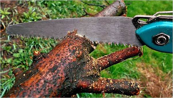 Best tool for cutting tree branches