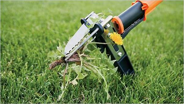 Best tool for weed removal 2024