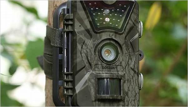Best trail camera for night vision