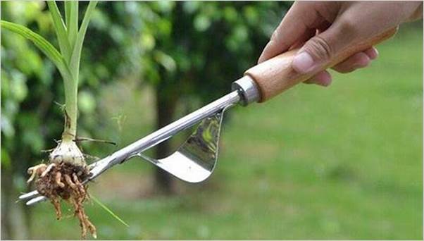 Garden weeding tool
