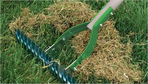 best grass removal tools 2024