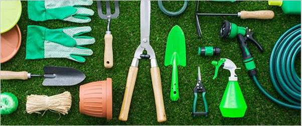 Best landscaping tools for small gardens