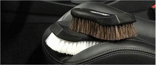 Car detailing brushes for leather seats