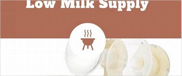 best breast pump for low milk supply
