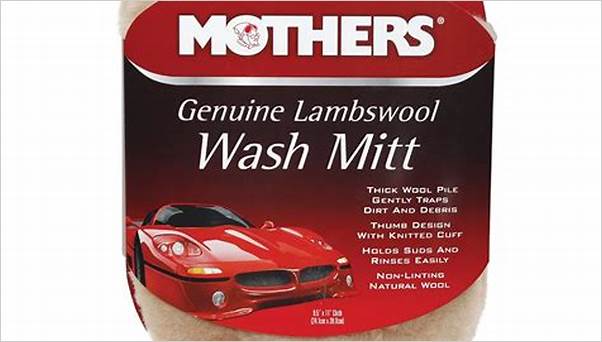 best car wash mitt for black cars